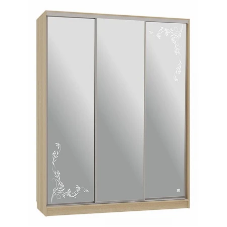 Шкаф-купе Бассо 4-600 цветы 2