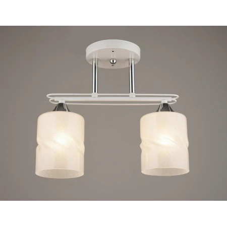 ВР-A3380/2 WT+CR (10) светильник потолочный [01094225] - Эконом класс люстры