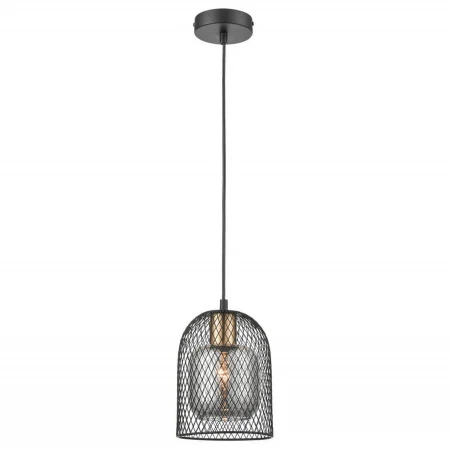 Светильник Vele Luce VL6402P01 Diodor