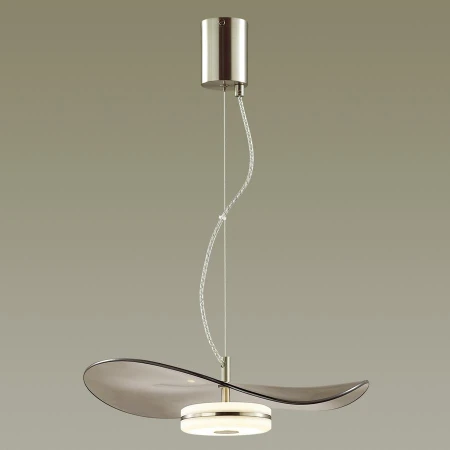 Светильник Odeon Light 4858/13L FLUENT