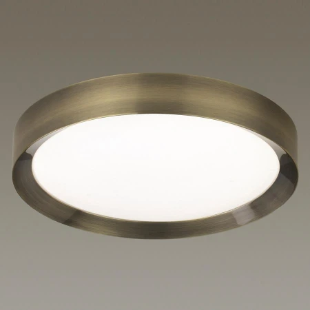 Светильник Odeon Light 4948/45CL LUNOR
