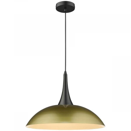 Подвесной светильник Wertmark Pina WE271.01.406