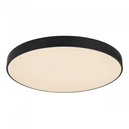 Потолочный светодиодный светильник Globo Leanara 41756-48B