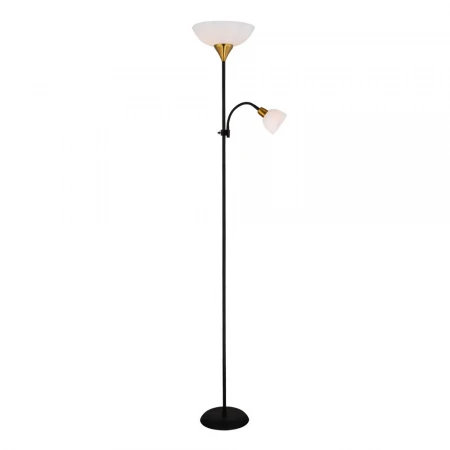 Торшер Arte Lamp Duetto A9569PN-2BK