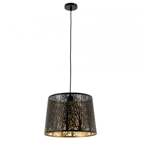 Подвесной светильник Arte Lamp Celesta A2769SP-1BK