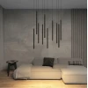 Подвесной светодиодный светильник Denkirs Glingor DK4303-BK