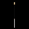 Подвесной светильник Maytoni Ray P022PL-L20G3K