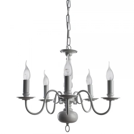 Подвесная люстра Arte Lamp Antwerpen A1029LM-5WC