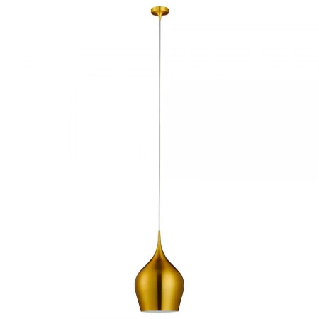 Подвесной светильник Arte Lamp Vibrant A6426SP-1GO