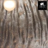 Подвесной светильник Arte Lamp Dome A8149SP-3SI