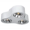 Потолочный светильник Arte Lamp Cliff A5643PL-3WH