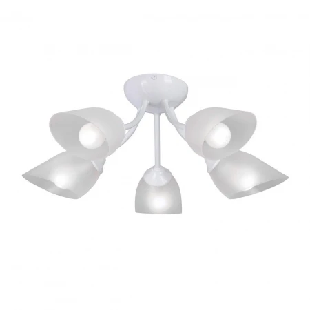 Потолочная люстра Vitaluce V3405-0/5PL