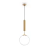 Подвесной светодиодный светильник Freya Pina FR5387PL-L14BS
