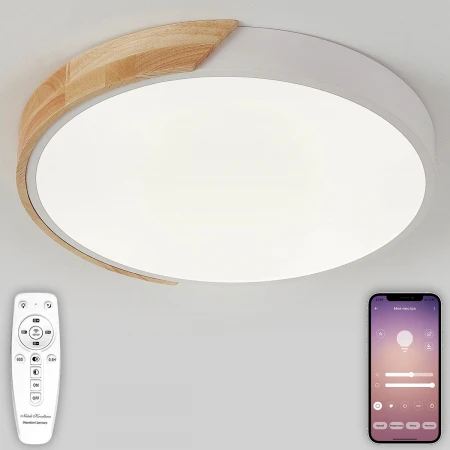 Потолочная люстра Natali Kovaltseva SCANDINAVIAN LED LAMPS 81181