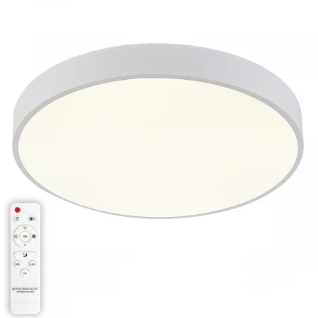Потолочный светодиодный светильник Natali Kovaltseva LED LAMPS 81112/5C