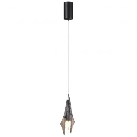Подвесной светодиодный светильник Odeon Light Exclusive L-vision Afalina 5442/6L