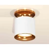 Комплект накладного светильника Ambrella light Techno Spot XS7401122 SWH/PYG белый песок/золото желтое полированное (N7929, C7401, N7014)