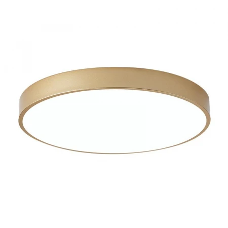 Настенно-потолочный светодиодный светильник TopDecor Union P2 33