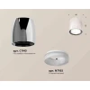 Комплект накладного светильника Ambrella light Techno Spot XS1143020 PSL/FR серебро полированное/белы матовый (C1143, N7165)