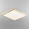 Светильник накладной Citilux Бейсик CL738K502V