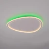 Потолочный светодиодный светильник Citilux Trio CL215B250E