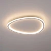 Потолочный светодиодный светильник Citilux Trio CL215B250E