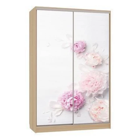 Шкаф-купе Гранд 7-600 17