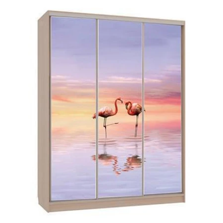 Шкаф-купе Бассо 7-600 19