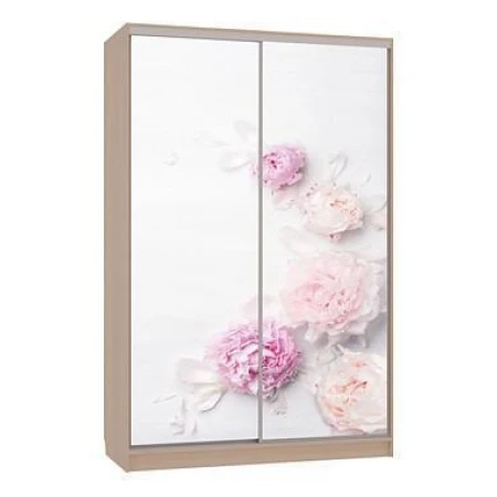 Шкаф-купе Гранд 7-600 17