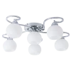 Потолочная люстра Arte Lamp A6058PL-6CC