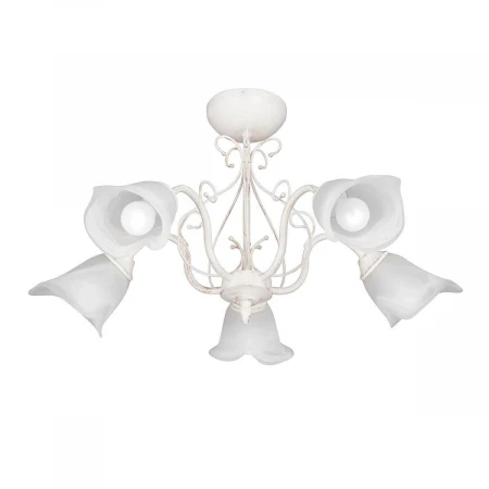 Потолочная люстра Vitaluce V3743-0/5PL