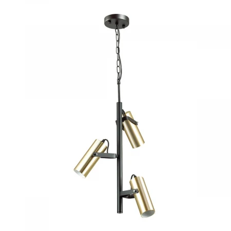 Подвесная люстра Lumion Claire 3714/3A