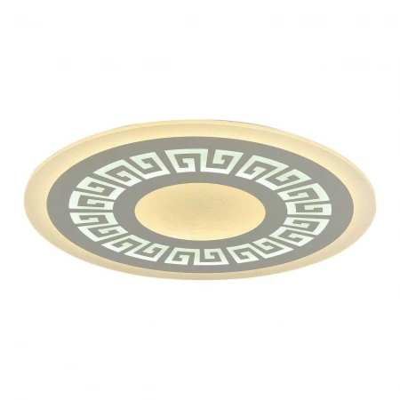 Потолочный светодиодный светильник F-Promo Ledolution 2273-8C