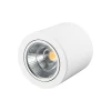 Потолочный светодиодный светильник Arlight SP-Focus-R140-30W Day White 021428