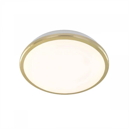 Потолочный светодиодный светильник Citilux Луна CL702162W